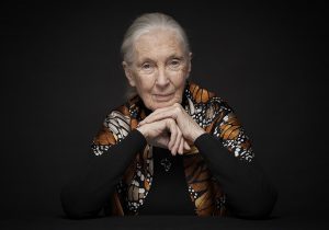 Dr. Jane Goodall in a black sweater and monarch butterfly shoulder scarf against a black background.